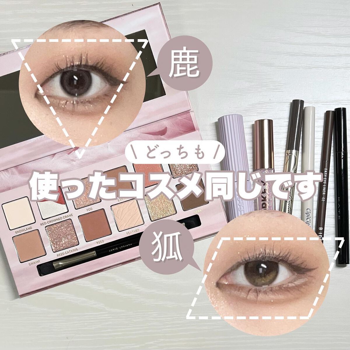 エクスプローラ12色 動物アイシャドウパレット/PERFECT DIARY/アイシャドウパレットを使ったクチコミ(1枚目)