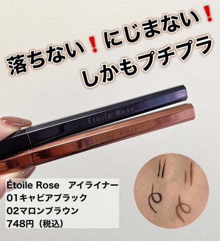 アイライナー/Étoile Rose/リキッドアイライナーを使ったクチコミ(1枚目)
