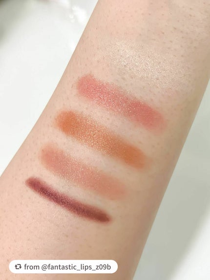 パノラマデザイン アイパレット/Visée/アイシャドウパレットを使ったクチコミ(3枚目)