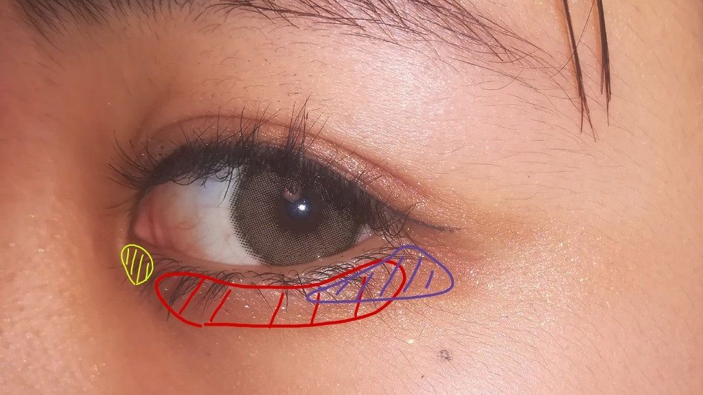 ショコラスウィート アイズ/リンメル ロンドン/アイシャドウパレットを使ったクチコミ(4枚目)