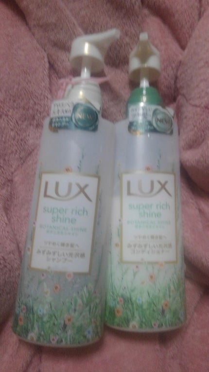 ã¹ãŒããŒãªããã·ã£ã€ã³ ãã¿ãã«ã«ã·ã£ã€ã³ å
æ²¢ã·ã£ã³ã㌠/å
æ²¢ã³ã³ãã£ã·ã§ããŒ/LUX/åžè²©ã·ã£ã³ããŒã䜿ã£ãã¯ãã³ãïŒ1æç®ïŒ