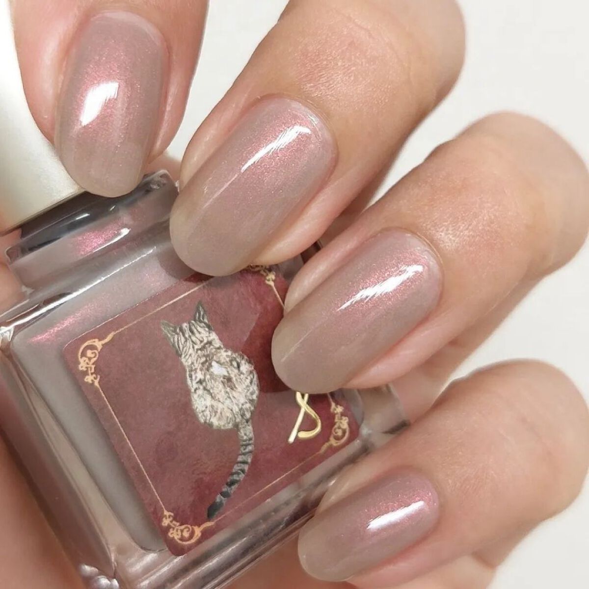 ネイルエス/ nail S(ネイルエス) /マニキュアを使ったクチコミ（2枚目）