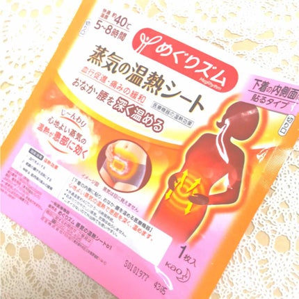 蒸気の温熱シート 下着の内側面に貼るタイプ/めぐりズム/その他を使ったクチコミ(1枚目)