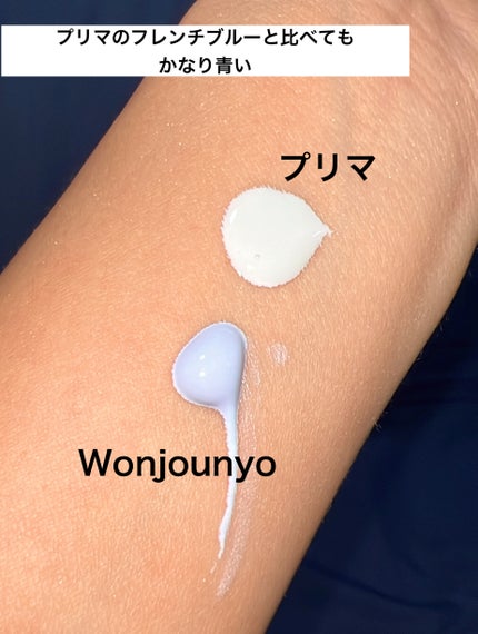 スキンプロテクトベース<皮脂くずれ防止>SPF50/プリマヴィスタ/化粧下地を使ったクチコミ(4枚目)