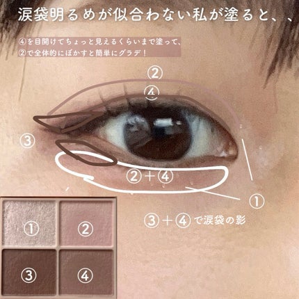 シルキースフレアイズ(マットタイプ)/キャンメイク/アイシャドウパレットを使ったクチコミ(4枚目)