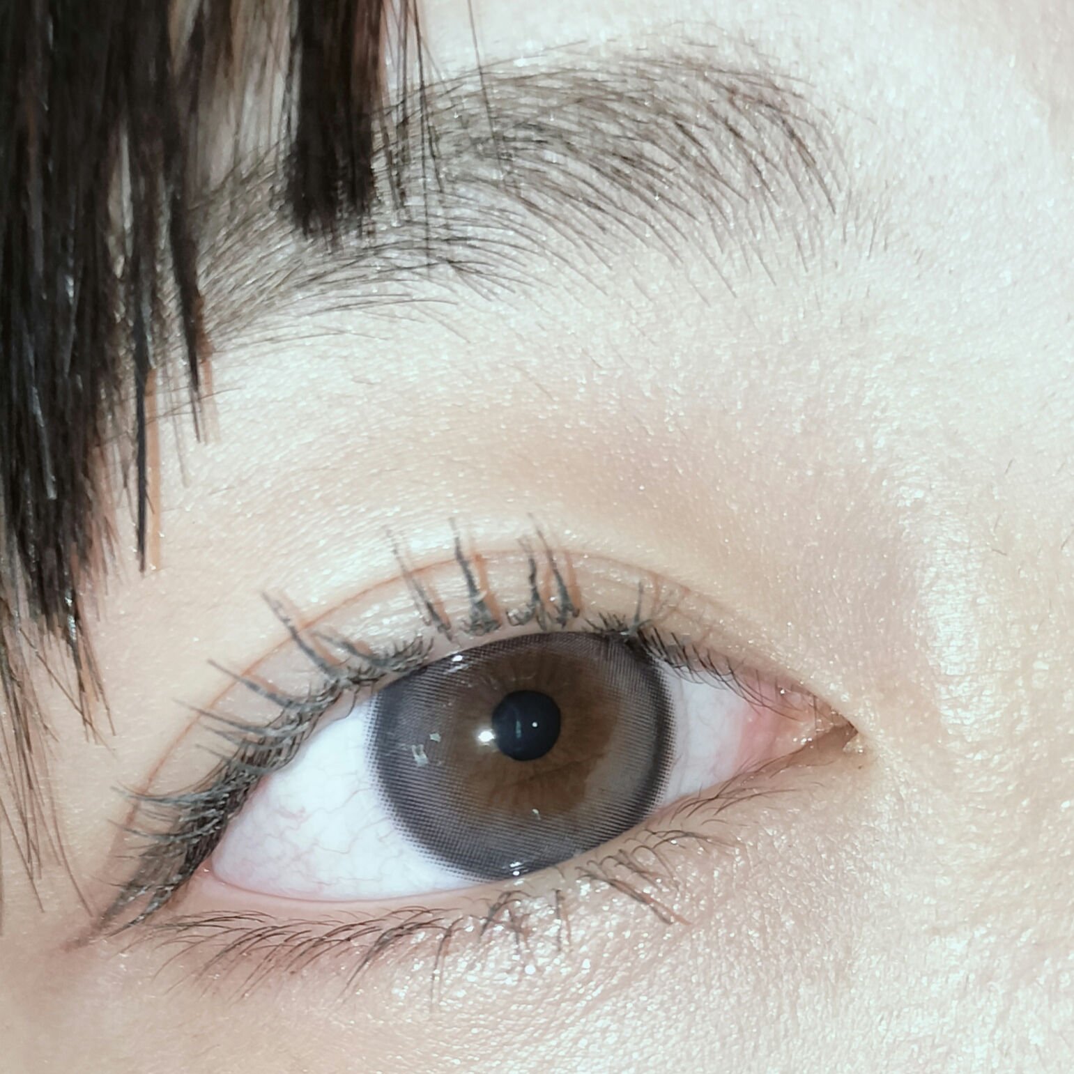 Tweed Kristin 1day/Hapa kristin/ワンデー（１DAY）カラコンを使ったクチコミ（1枚目）