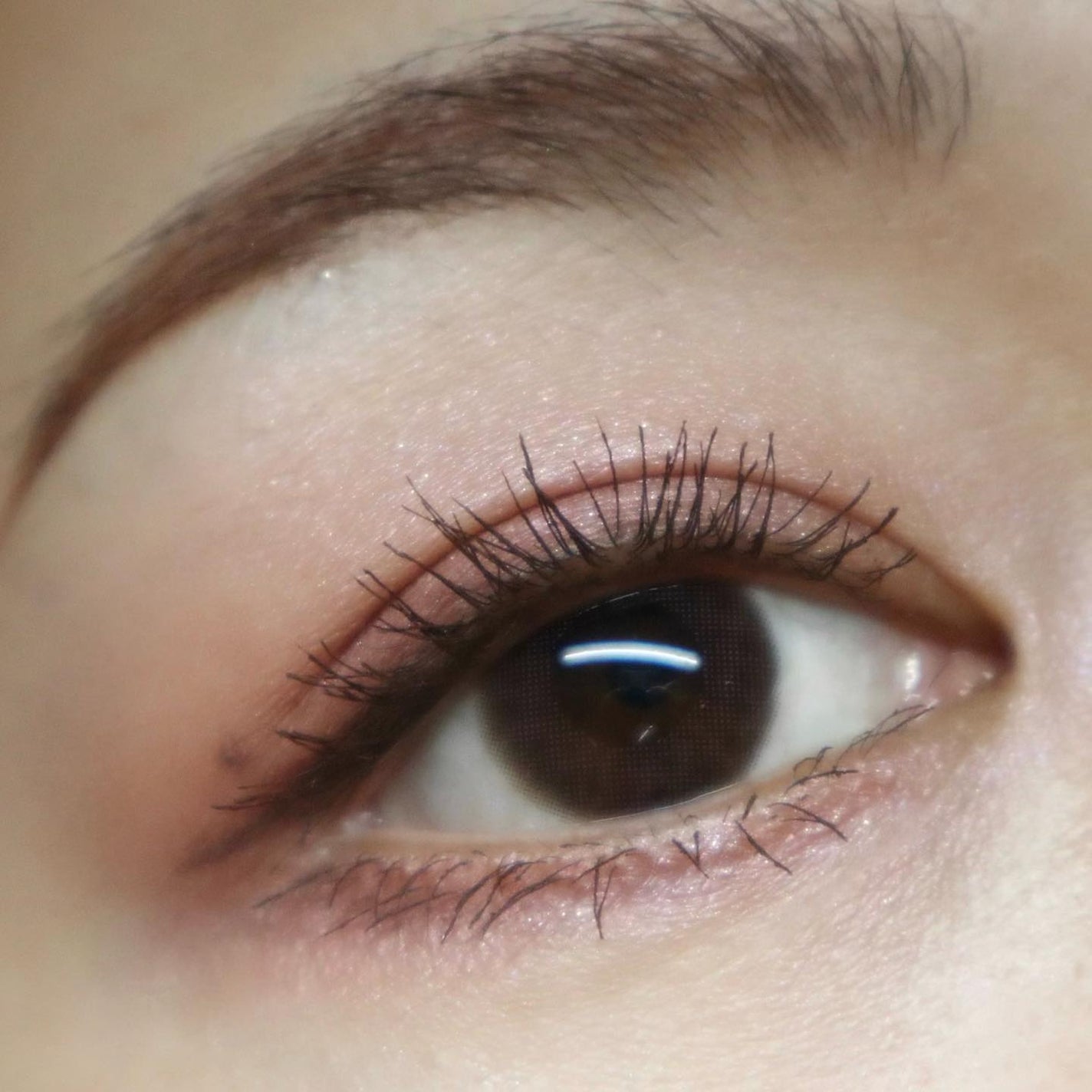 リアルクローズシャドウ/excel/アイシャドウパレットを使ったクチコミ(7枚目)