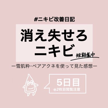 ペアアクネクリームW(医薬品)/ペア/その他スキンケアグッズを使ったクチコミ（1枚目）