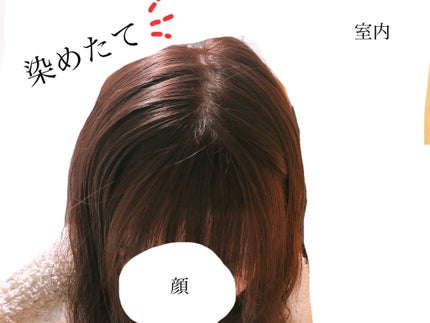 を使ったクチコミ(2枚目)