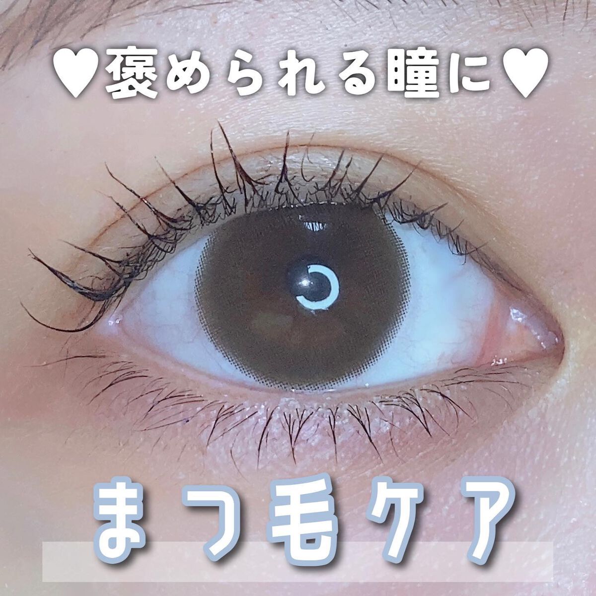 Eyelash Serum/フィラージュ/まつげ美容液を使ったクチコミ（1枚目）
