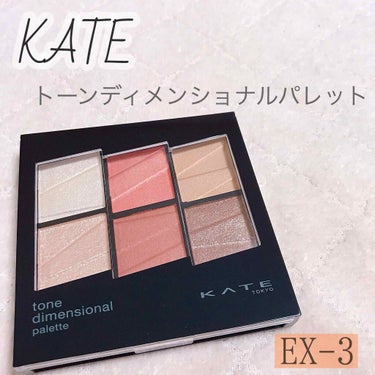 トーンディメンショナルパレット/KATE/メイクアップキットを使ったクチコミ（1枚目）