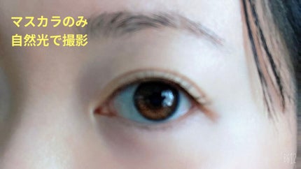 ラッシュエキスパンダー ロングロングロング EX/MAJOLICA MAJORCA/マスカラを使ったクチコミ(5枚目)