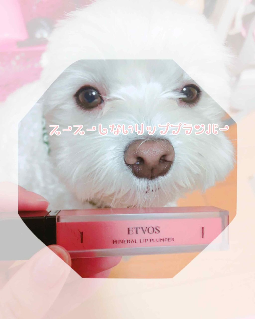 ミネラルリッププランパー/エトヴォス/リッププランパーを使ったクチコミ(1枚目)