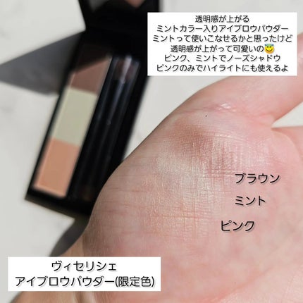 ヴィセ リシェ アイブロウパウダー/Visée/パウダーアイブロウを使ったクチコミ(5枚目)