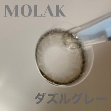MOLAK 1day ダズルグレー/MOLAK/カラーコンタクトレンズの画像