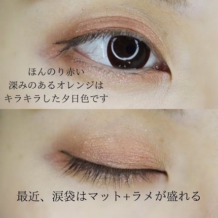 プロ シングル シャドウ/CLIO/単色アイシャドウを使ったクチコミ(4枚目)