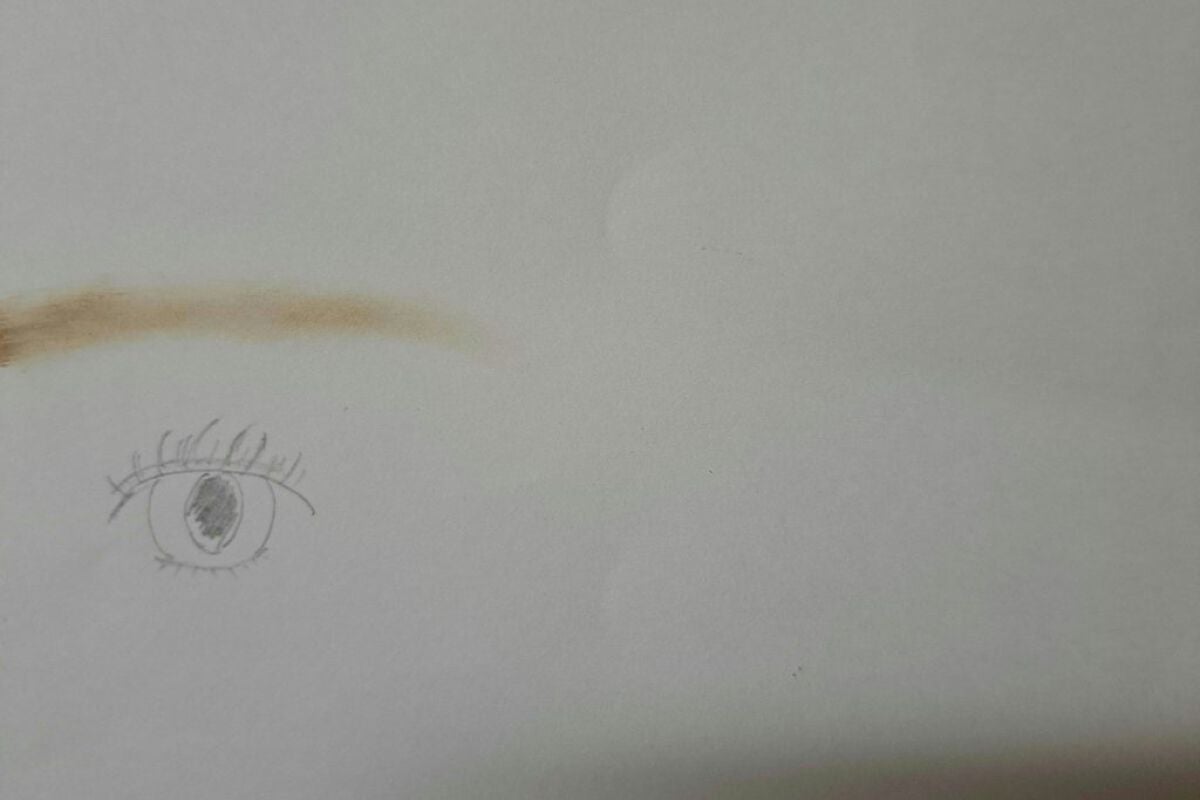 アイブロウワックス/スウィーツ スウィーツ/その他アイブロウを使ったクチコミ(3枚目)