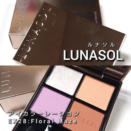 アイカラーレーション/LUNASOL/アイシャドウパレットを使ったクチコミ(2枚目)