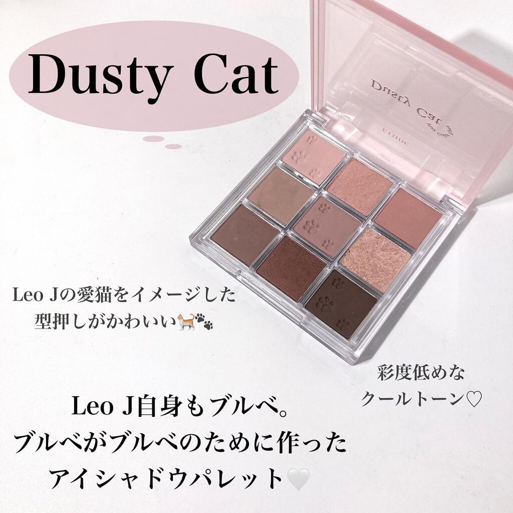 プレイカラーアイズ ダスティキャット/ETUDE/アイシャドウパレットを使ったクチコミ(3枚目)