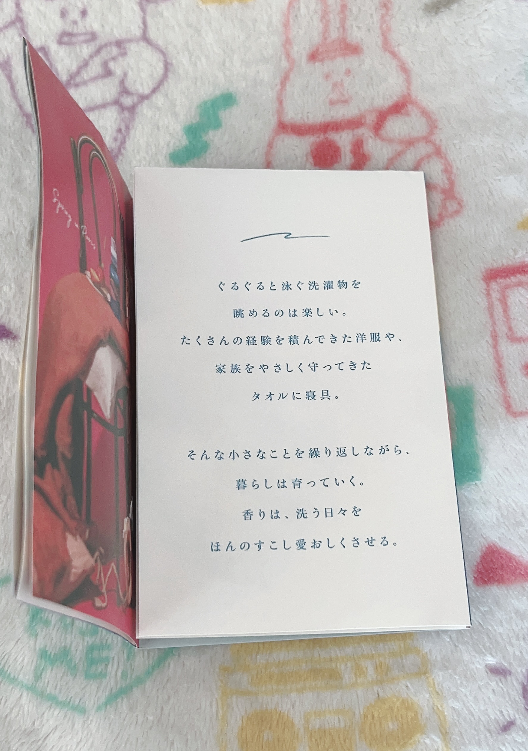 ランドリー　ディタージェント/Hippopotamus/洗濯洗剤を使ったクチコミ（3枚目）