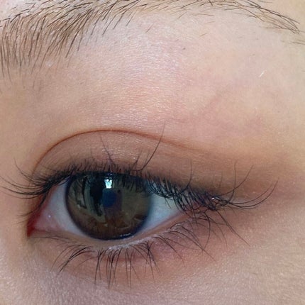 パーフェクトマルチアイズ/キャンメイク/アイシャドウパレットを使ったクチコミ(5枚目)