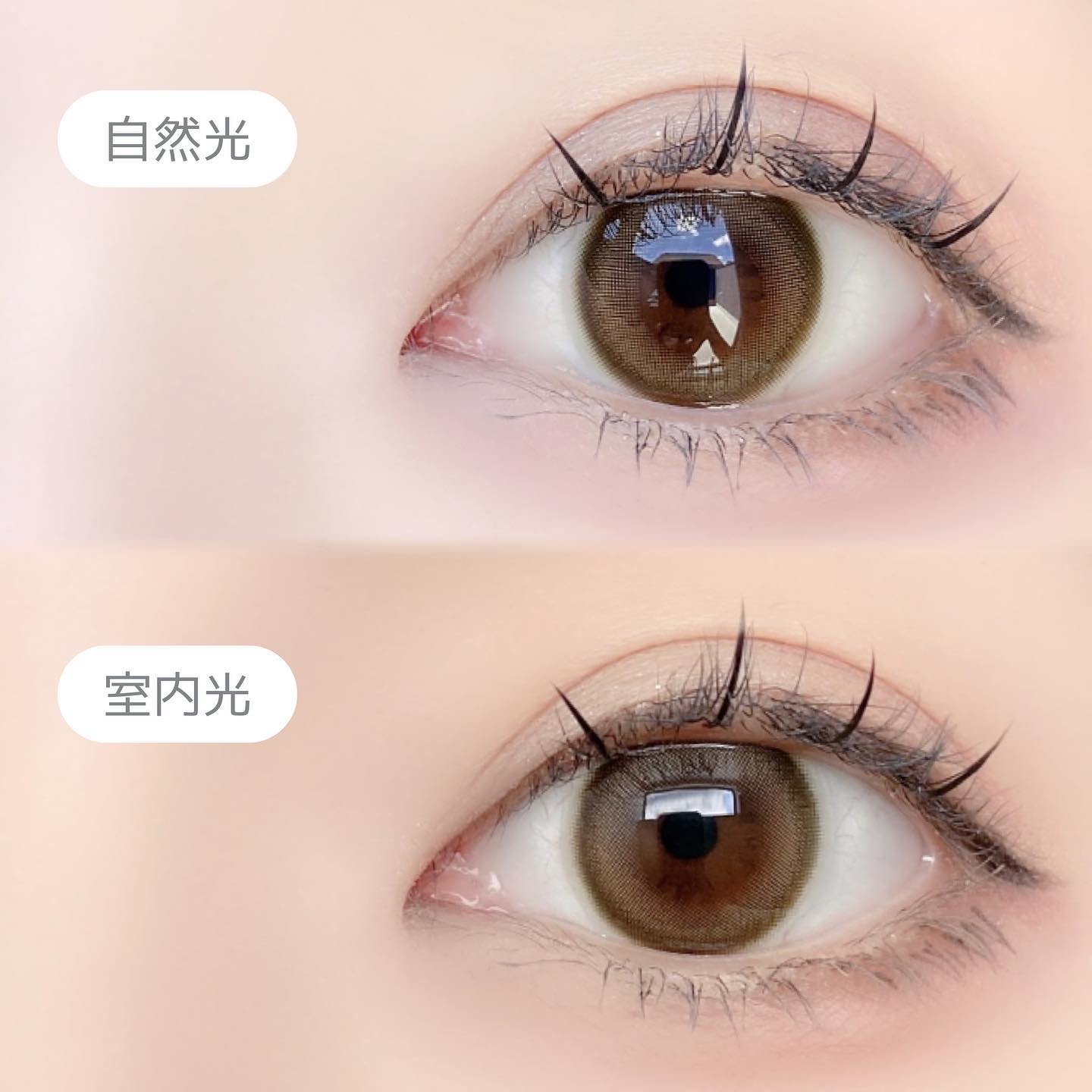 ReVIA 1day/ReVIA/ワンデー（１DAY）カラコンを使ったクチコミ（3枚目）