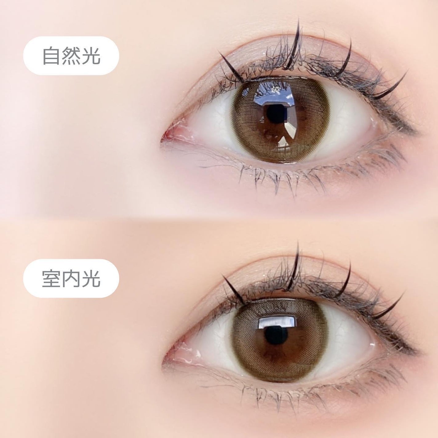 ReVIA 1day/ReVIA/ワンデー(1DAY)カラコンを使ったクチコミ(3枚目)