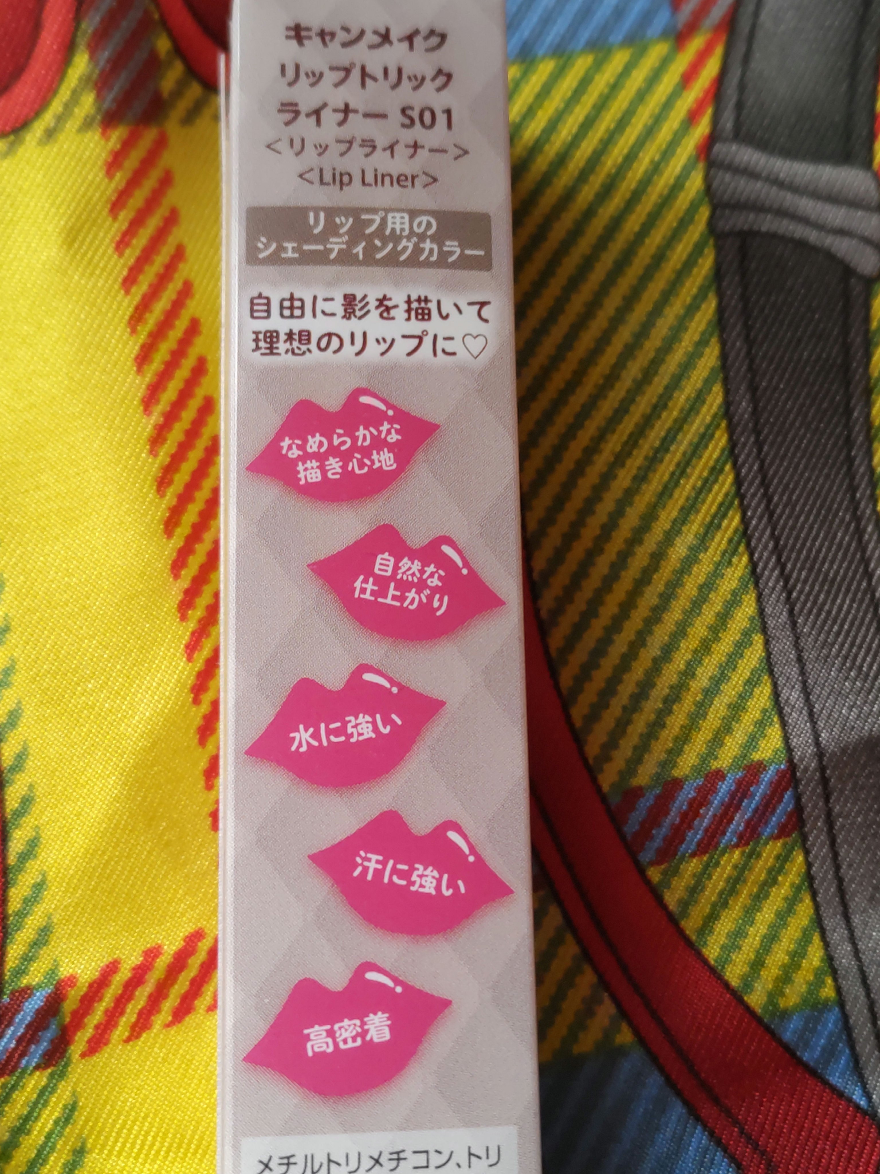 リップトリックライナー S01 あざとグレー/キャンメイク/リップライナーを使ったクチコミ（2枚目）
