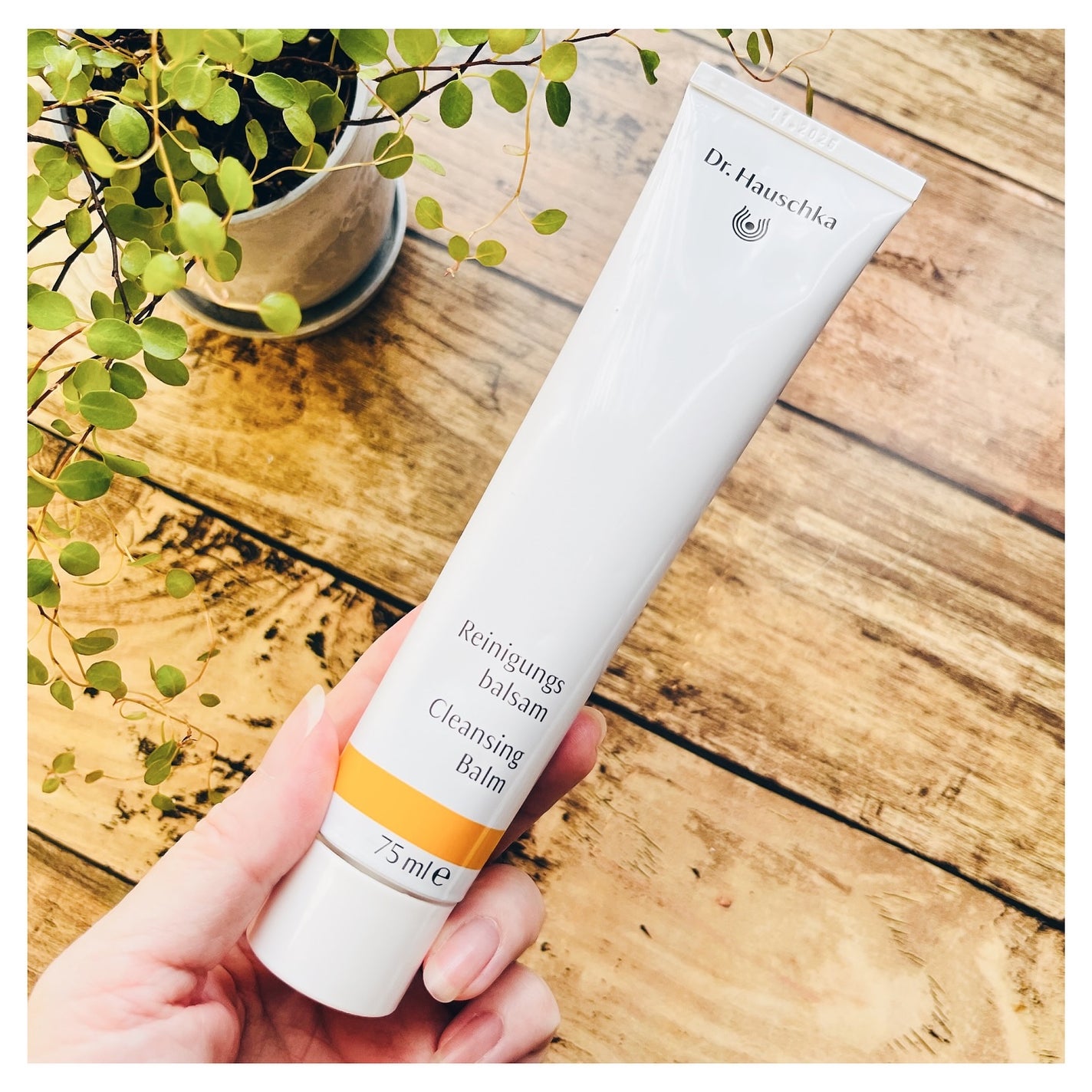 クレンズクリーム/ドクターハウシュカ /その他洗顔料を使ったクチコミ(2枚目)