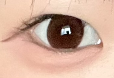 TeAmo 1DAY フォンダショコラ/TeAmo/ワンデー（１DAY）カラコンを使ったクチコミ（1枚目）