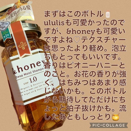 ディープモイスト シャンプー1.0/ヘアトリートメント2.0/&honey/市販シャンプーを使ったクチコミ(2枚目)