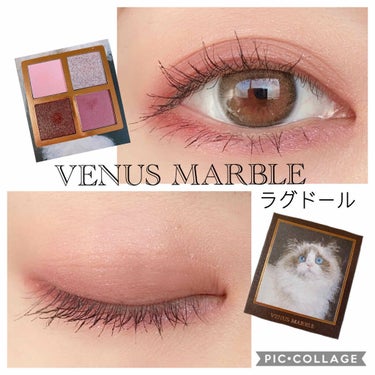 Venus Marble アイシャドウキャットシリーズ ラグドール/Venus Marble/アイシャドウパレットを使ったクチコミ（1枚目）