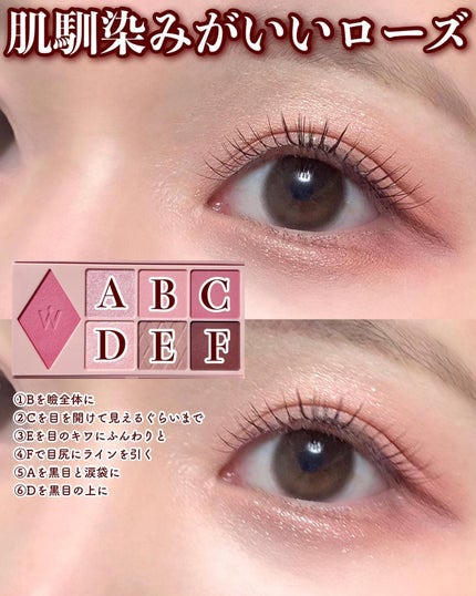 ウォンジョンヨ W デイリームードアップパレット /Wonjungyo/アイシャドウパレットを使ったクチコミ(5枚目)