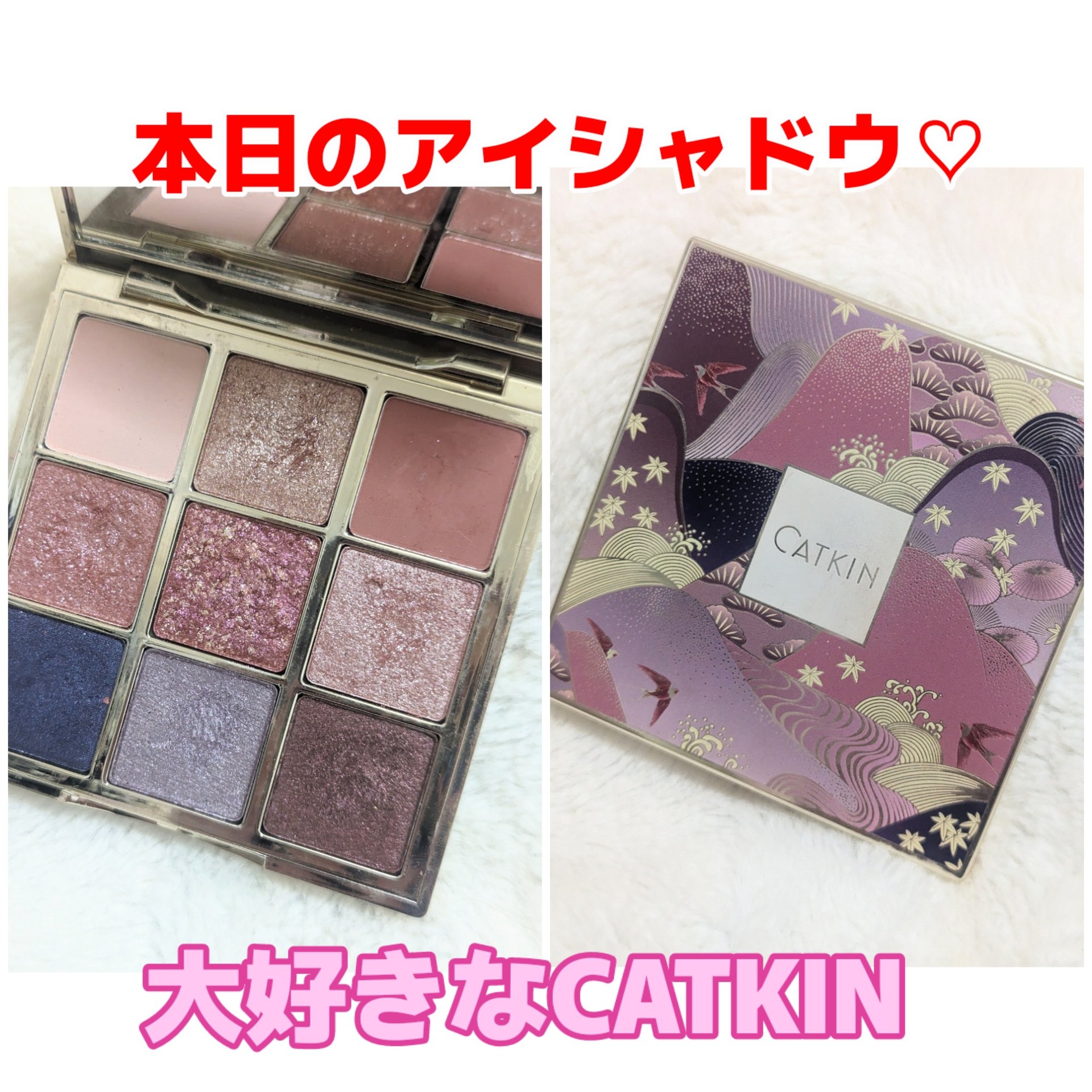 長相思シリーズ 9色アイシャドウパレット C08 モランディ/CATKIN/アイシャドウパレットを使ったクチコミ（1枚目）