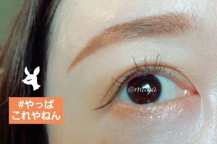 エレクトリックショックアイズ YL-1 エレクトリックアンバー/KATE/アイシャドウパレットを使ったクチコミ(1枚目)