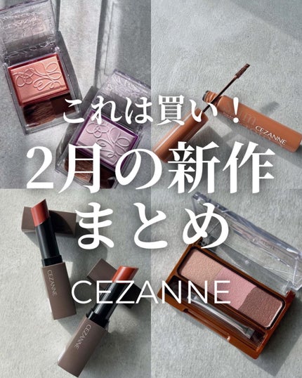 ノーズ&アイブロウパウダー/CEZANNE/パウダーアイブロウを使ったクチコミ(1枚目)