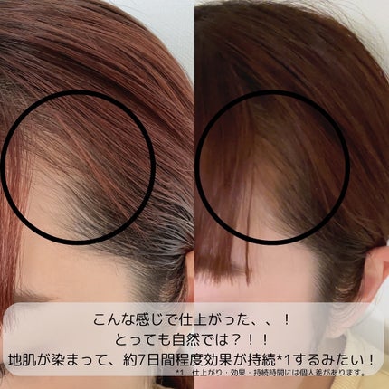 ウルトラキープヘアティント ナチュラルグレー/メイクプロポーション/ヘアカラーの画像