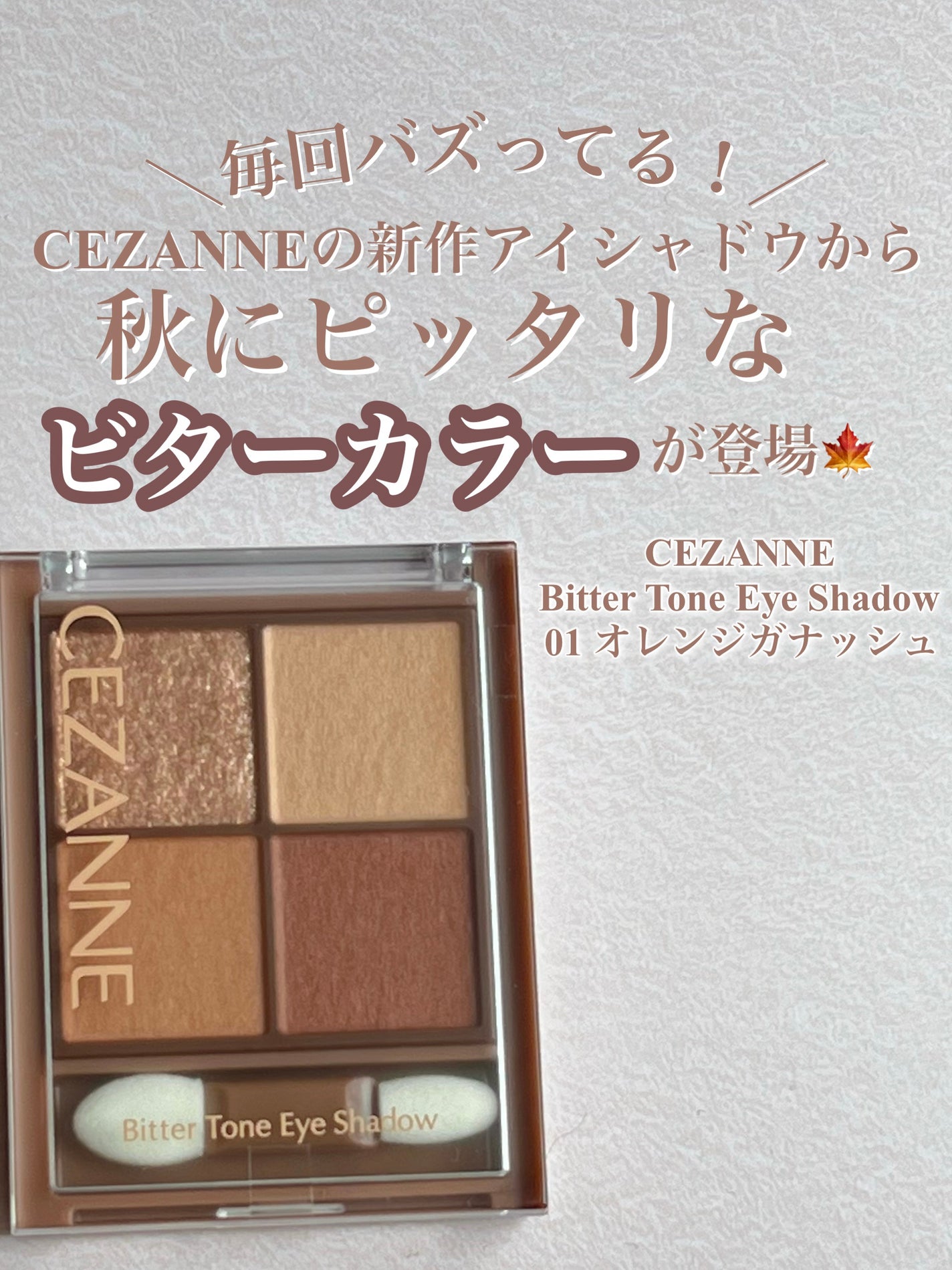 ビタートーンアイシャドウ/CEZANNE/パウダーアイシャドウを使ったクチコミ(2枚目)