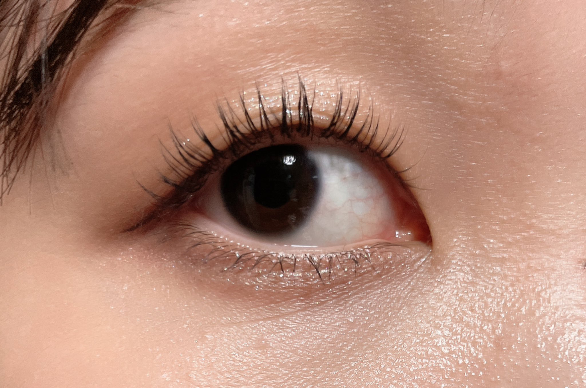 Volume＆curl Mascara BLACK/Style by Aiahn/マスカラを使ったクチコミ（3枚目）