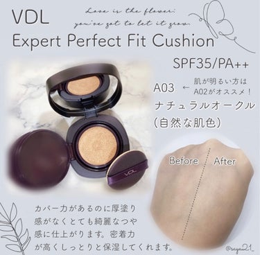 VDL EXPERT PERFECT FIT CUSHION (エクスパートパーフェクトフィットクッション）のクチコミ「
\ 韓国で人気のVDL🇰🇷 /


amazonで購入できるVDLのベースメイクで水光肌に💎.....」（1枚目）