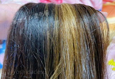 髪のキメ美容プレミアムヘアオイル/エッセンシャル/ヘアオイルを使ったクチコミ（2枚目）