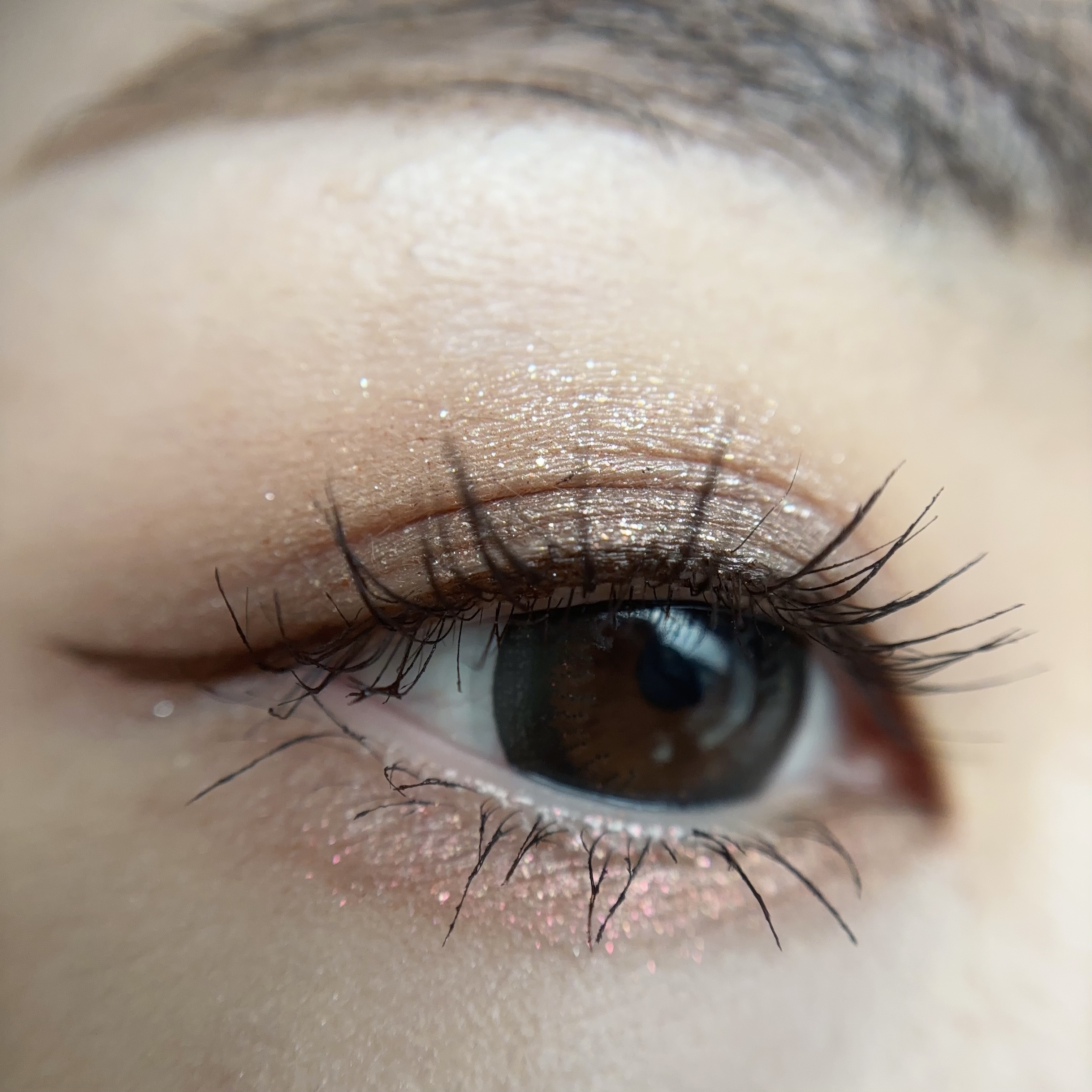 スター サイティング コンパクト/M・A・C/アイシャドウパレットを使ったクチコミ（3枚目）