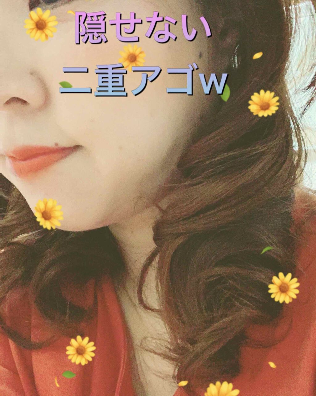 プロティンダイエット/DHC/ソイプロテインを使ったクチコミ(1枚目)