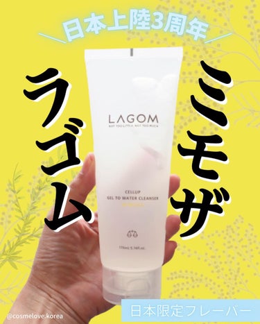 ラゴム ジェルトゥウォーター クレンザー(朝用洗顔)/LAGOM /洗顔フォームを使ったクチコミ（1枚目）