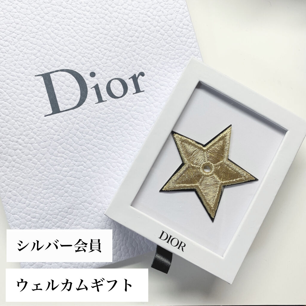 Dior★ブローチ★シルバー
