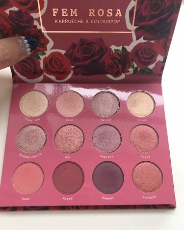 Fem Rosa Karrueche - Pressed Powder Shadow Palette - She/ColourPop/アイシャドウパレットを使ったクチコミ（2枚目）