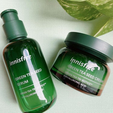 グリーンティーシード クリーム 50ml/innisfree/フェイスクリームの画像