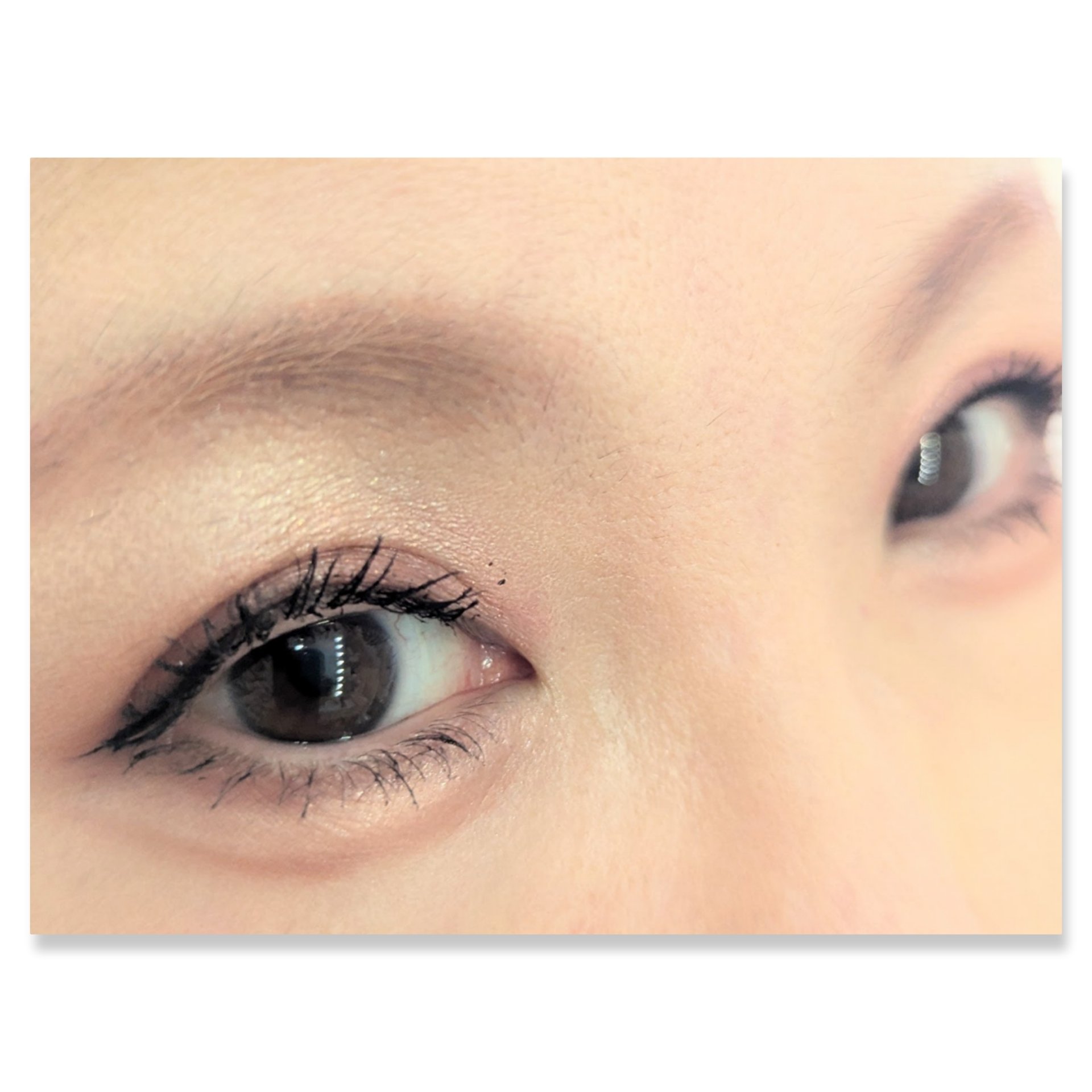 プレイカラーアイズミニ　ローズボム/ETUDE/アイシャドウパレットを使ったクチコミ（2枚目）