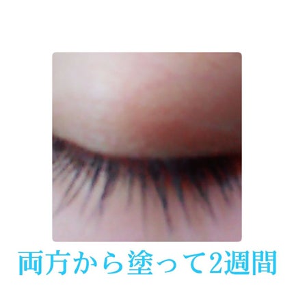 ラッシュジェリードロップ/MAJOLICA MAJORCA/まつげ美容液を使ったクチコミ(3枚目)