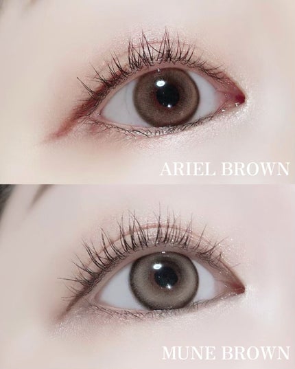 oriana MUNE(オリアナ ミューン)/蜜のレンズ/カラーコンタクトレンズを使ったクチコミ(3枚目)